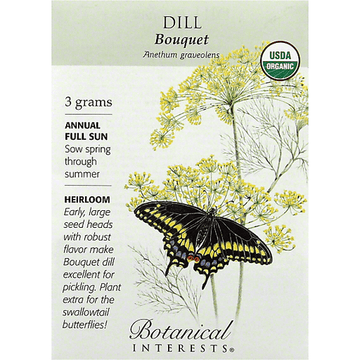 Dill 'Bouquet'