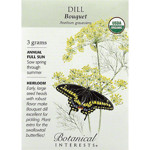 Dill 'Bouquet'