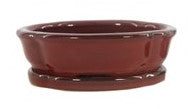 Indoor Bonsai Pot - 6"