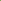 Ficus lyrata (Fiddle Leaf Fig)