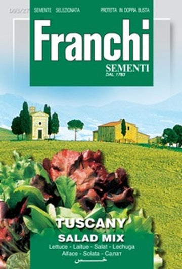 Lettuce 'Misticanza Lattughe Toscana'
