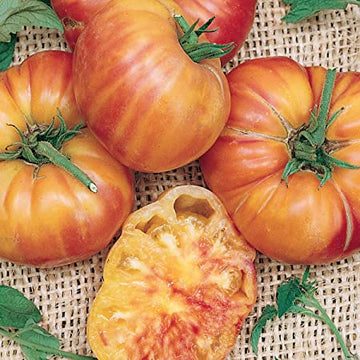 Tomato 'Mr. Stripey'