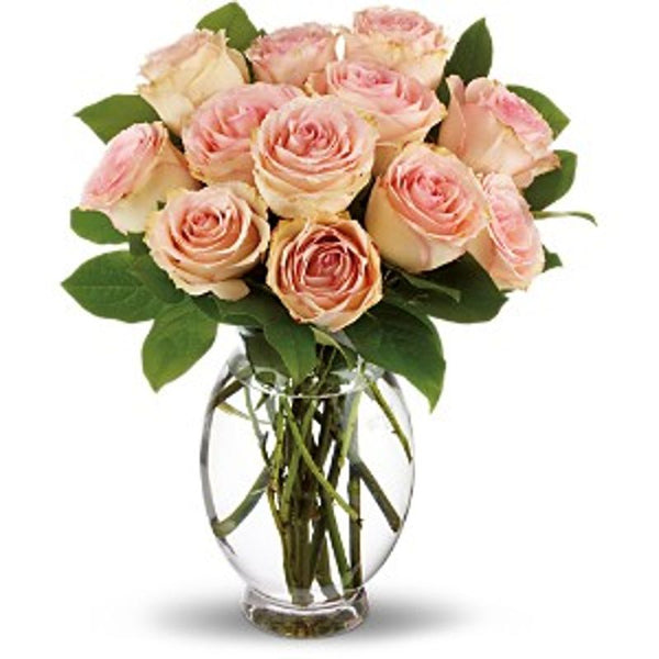 Dozen Roses