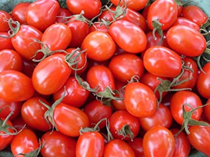 Tomato 'Red Grape'