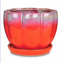 Indoor Petal Bowl Pot