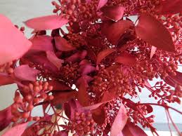 Christmas Fresh Greens/Bunches