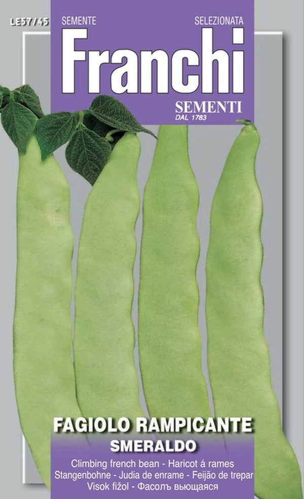 Bean 'Smeraldo'