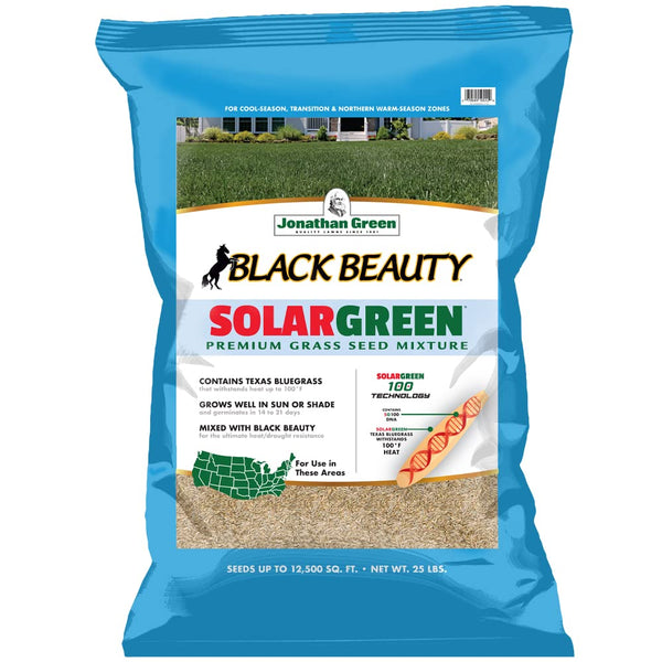 Black Beauty SolarGreen Texas Bluegrass Grass Seed