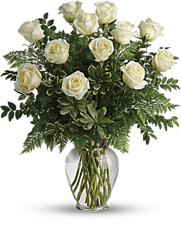 Dozen Roses