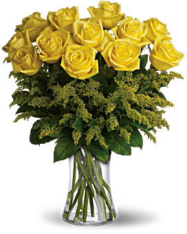 Dozen Roses